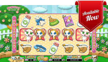 Purrfect Pets Slot at Golden Euro